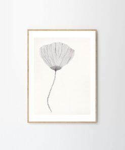 Druk artystyczny Poppy / Ana Frois