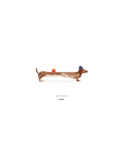 Plakat Doug the Dachshund / Mado