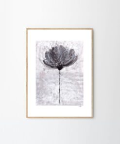 Druk artystyczny Flower No 04 / Ana Frois