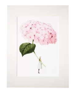Grafika Różowa hortensja z serii "In Bloom" (blady róż) / Laura Stoddart