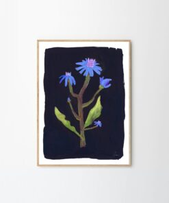 Druk artystyczny Night Flower autorstwa Clary Schicketanz